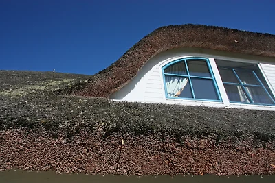 4**** casa di paglia con sauna e camino