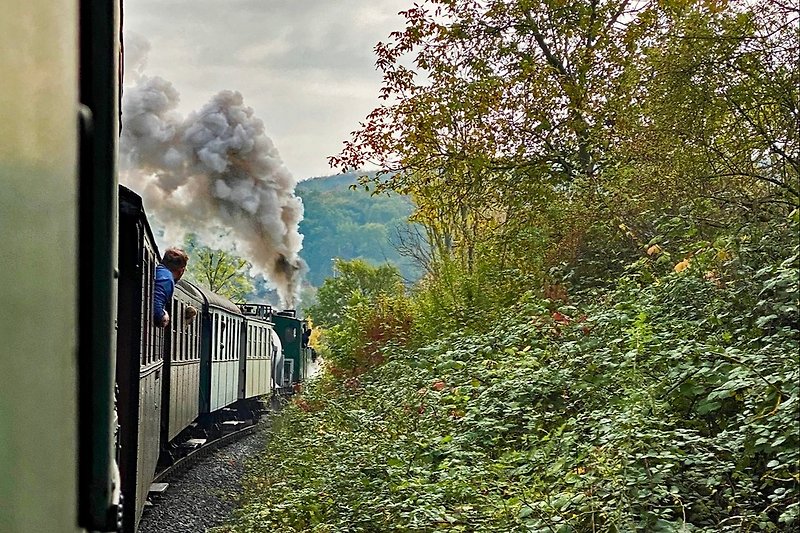 1899 - Das Ferienhaus in Wittmar - Firma 1899 GbR - Sven Volkers