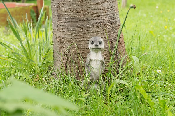 Ferienhaus Neubulach