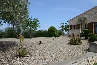 Finca al Turó