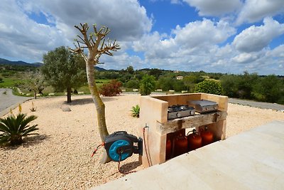 Finca al Turó