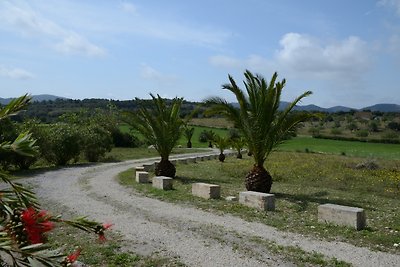 Finca al Turó