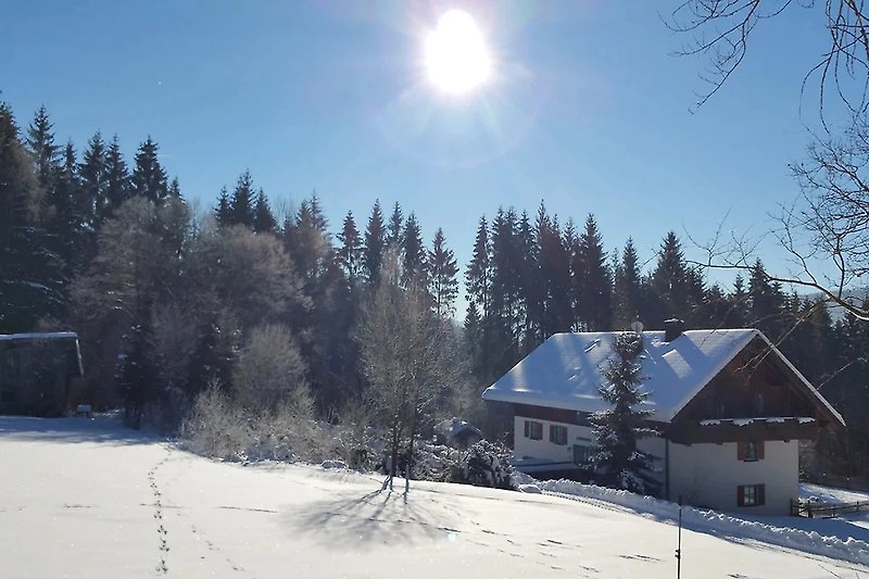 Winter+ Sonne + Schnee - das passt