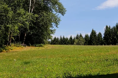 Waldhaus Sonnenberg - Fewo 2