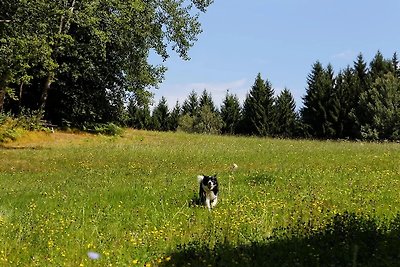 Sonnenberg Forest House