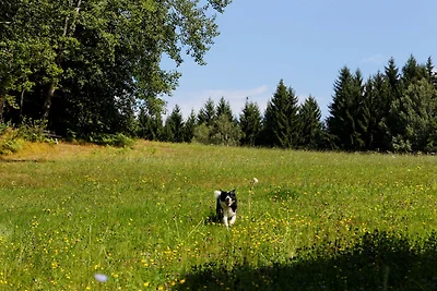 Waldhaus Sonnenberg - Fewo 3