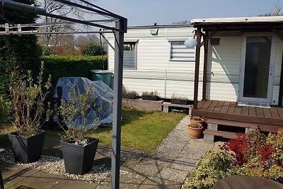 Mobilheim in Renesse auf 4*de Brem