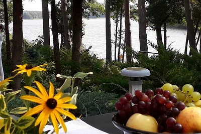 Ferienhaus Helene - direkt am See
