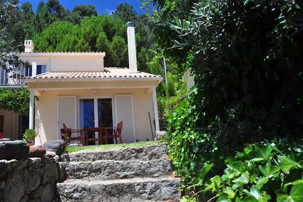 Vakantieappartement Monchique