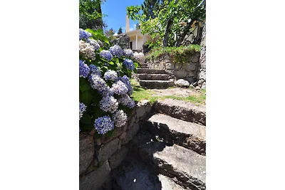 Quinta no Estaco