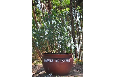 Quinta no Estaco