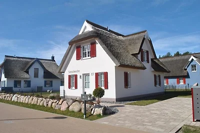 Vakantiehuis Seeschnecke