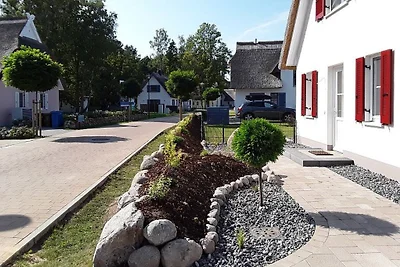 Vakantiehuis Seeschnecke