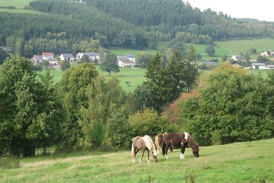 Ferienblockhaus