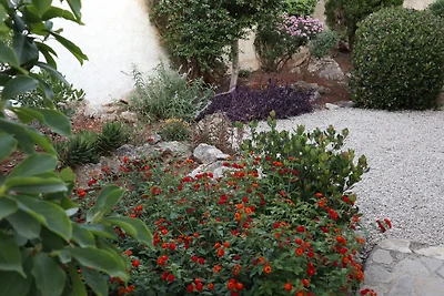 Villa Azahar