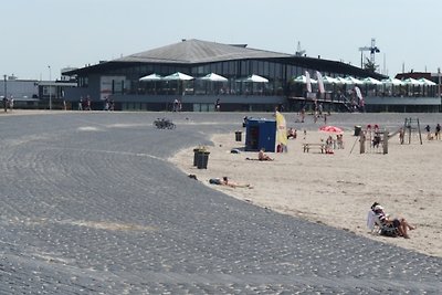 See Strand & Hund Bungalow 2 LEMMER