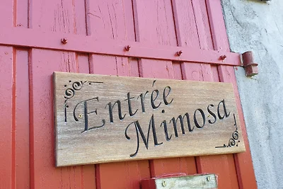 Le Mimosa