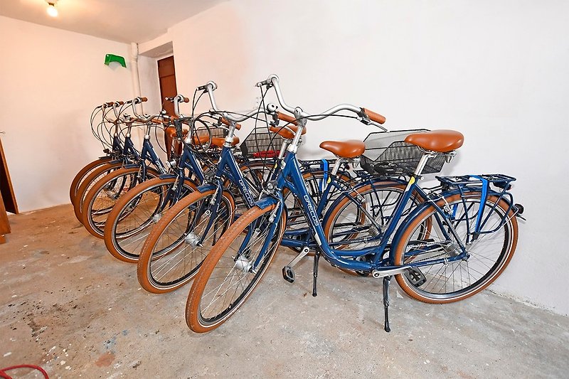 Hauseigene Fahrräder