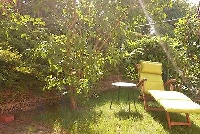 Ferienhaus Rügen Grill Trampolin