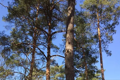 Casa vacanze ai margini della foresta a Wandlitz