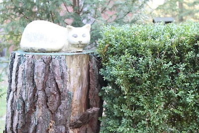 Casa vacanze ai margini della foresta a Wandlitz