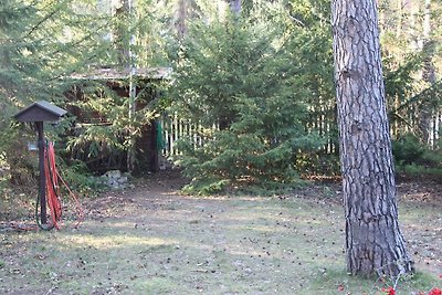 Vakantiehuis aan de rand van het bos in Wandlitz