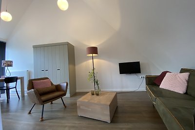 ParelDuyn studio's en appartementen