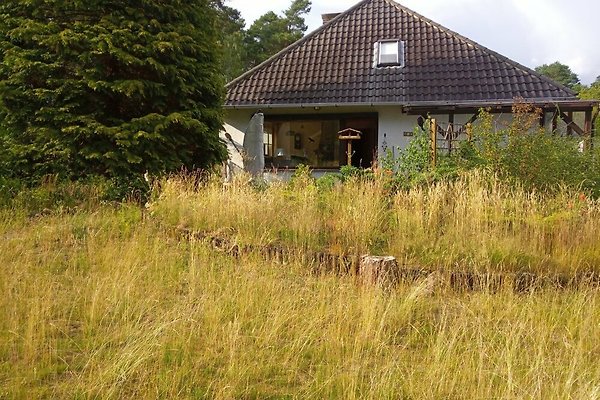 Ferienhaus Wendland-Elbe-Heide in Gartow am See ab 52 € direkt bei ...