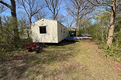 "Die Krabbe" – Mobilheim auf Bakkum