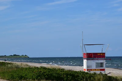 Al Viking 424