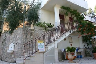 Villa Vittoria immersa negli Ulivi