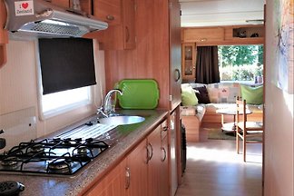 Chalet SEESCHWALBE Renesse