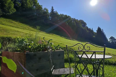 Ferienhaus Mittersill am Widholzhof