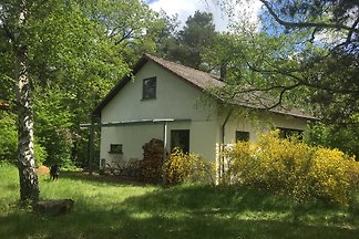 Villa Kunterbunt im Wald, Weinstr.