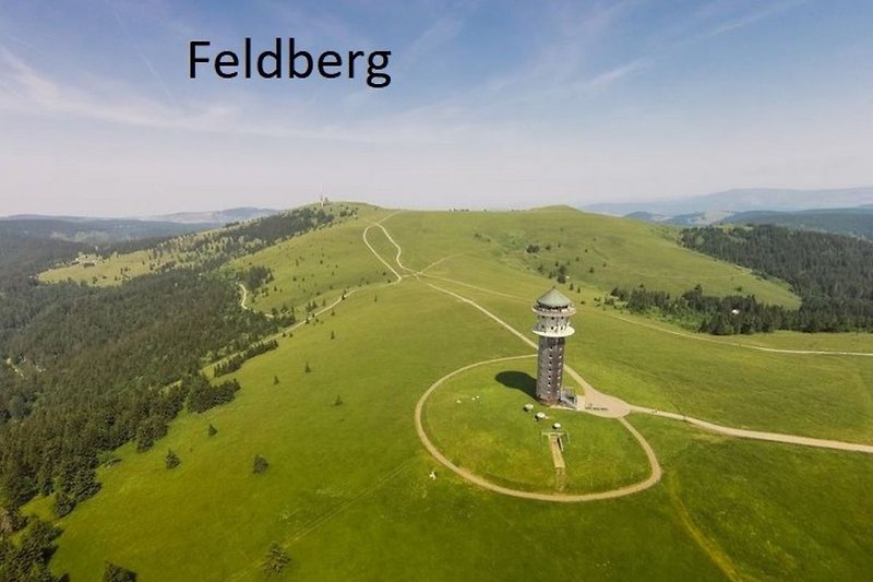 Feldberg Tower