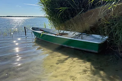 Miss Frieda al lago