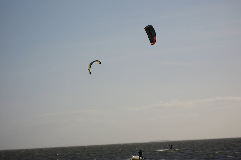 Wassersport und Windspaß am Strand mit Drachen und Paragliding.
