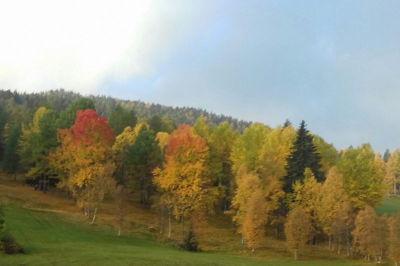 Herbstimpression oberhalb des Hofes