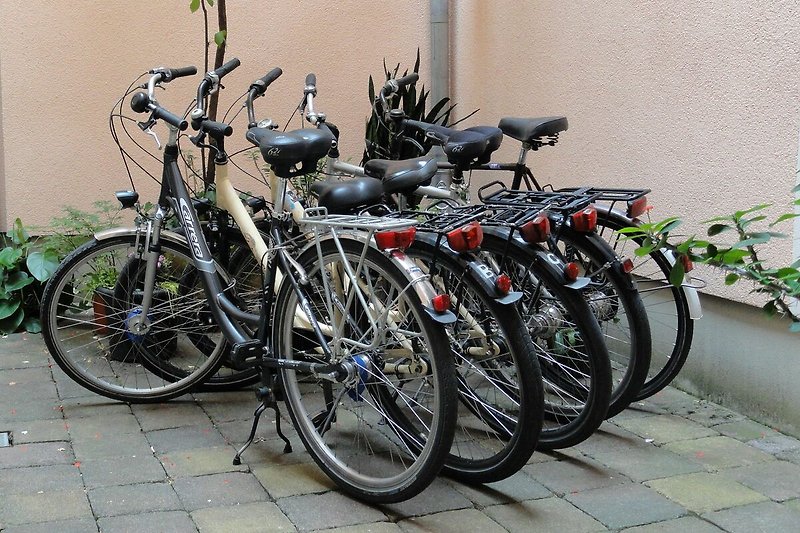 Fahrräder für jeden erwachsenen Gast