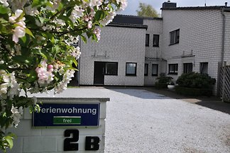 Ferienhauser Ferienwohnungen In Steinhuder Meer Mieten