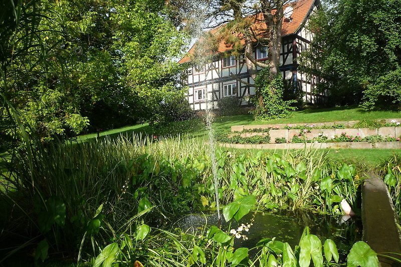 Üppiger Garten mit Teich, Bäumen und bunten Blumen.