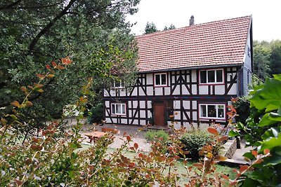 Wolfsmühle