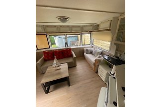 Necessità di ripetizione