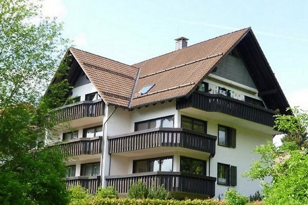 Ferienwohnung Braunlage