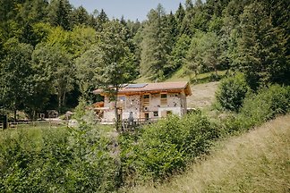 Farm im Wald