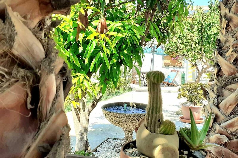 Tropischer Garten mit exotischen Pflanzen und Blumen. Erholung pur! #Naturparadies