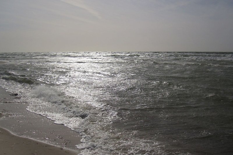 Spiaggia di Prerow