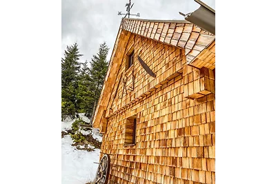 Chalet Wildalpen