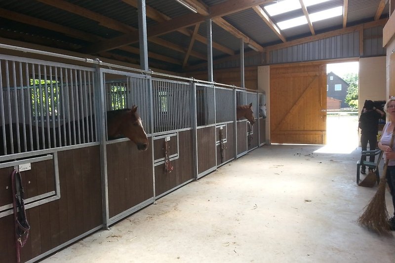 The stable area for the horses