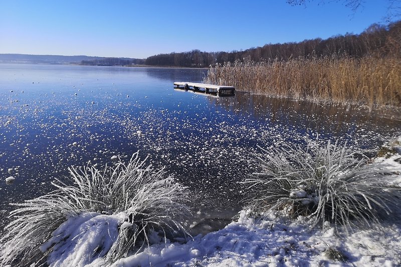 der See im Winter